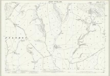 Dorset XXVIII.8 (includes: Broadwindsor; Marshwood; Pilson; Stoke Abbott) - 25 Inch Map