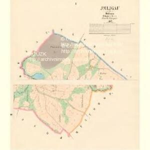 Jmligau - c2902-1-001 - Kaiserpflichtexemplar der Landkarten des stabilen Katasters