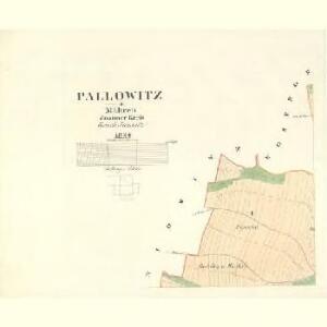 Pallowitz - m2219-1-001 - Kaiserpflichtexemplar der Landkarten des stabilen Katasters