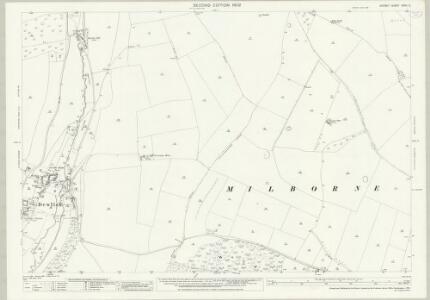 Dorset XXXII.11 (includes: Dewlish; Milborne; Milton Abbas) - 25 Inch Map