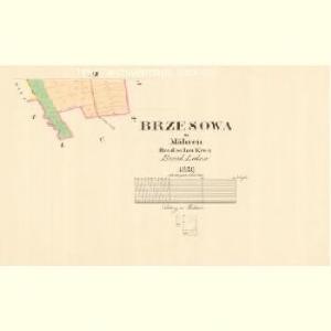 Brzesowa - m0266-1-003 - Kaiserpflichtexemplar der Landkarten des stabilen Katasters