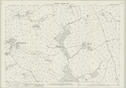 Cornwall XXXV.12 (includes: Liskeard; St Pinnock) - 25 Inch Map
