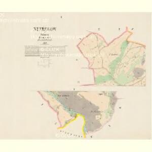 Nepřegow - c5047-1-001 - Kaiserpflichtexemplar der Landkarten des stabilen Katasters