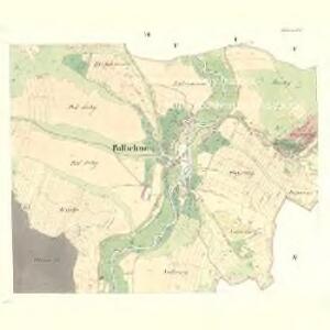 Pollichno - m2354-1-003 - Kaiserpflichtexemplar der Landkarten des stabilen Katasters