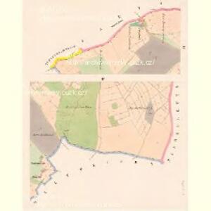 Bettelgrün - c2675-1-003 - Kaiserpflichtexemplar der Landkarten des stabilen Katasters