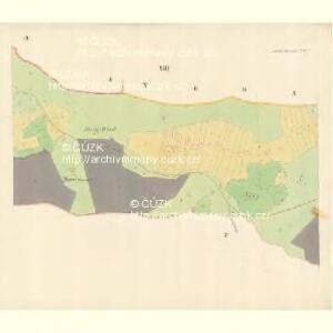 Brumow - m0231-1-011 - Kaiserpflichtexemplar der Landkarten des stabilen Katasters