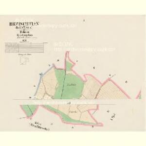 Brzischtian (Břistace) - c0616-1-001 - Kaiserpflichtexemplar der Landkarten des stabilen Katasters