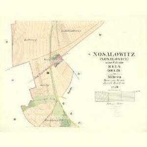 Nosalowitz (Nosalowice) - m2010-1-002 - Kaiserpflichtexemplar der Landkarten des stabilen Katasters