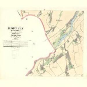 Roppitz (Roppitca) - m2597-1-004 - Kaiserpflichtexemplar der Landkarten des stabilen Katasters