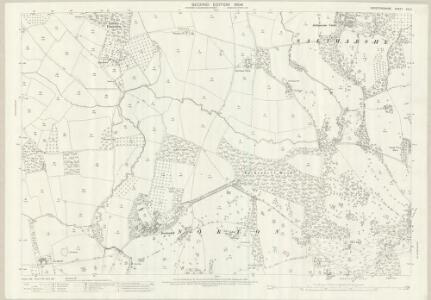 Herefordshire XXI.2 (includes: Brockhampton; Edvin Loach; Edvin Ralph; Norton; Saltmarshe; Winslow) - 25 Inch Map