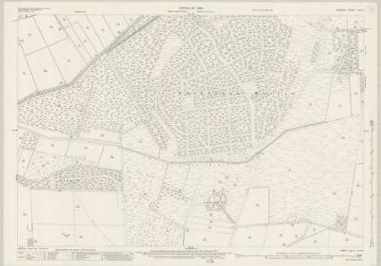 Norfolk LVII.4 (includes: Shouldham; Wormegay) - 25 Inch Map