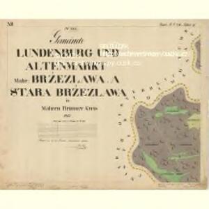 Lunderburg - m0243-1-019 - Kaiserpflichtexemplar der Landkarten des stabilen Katasters