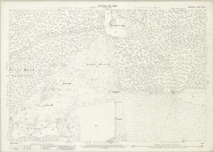Hampshire and Isle of Wight LXXX.3 (includes: Brockenhurst; Denny Lodge; East Boldre) - 25 Inch Map