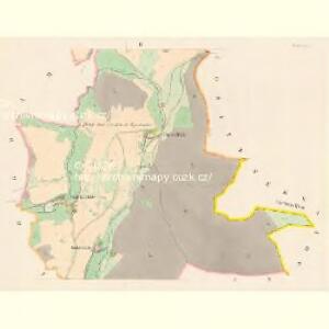 Neuhof (Nowydwur) - c5310-1-002 - Kaiserpflichtexemplar der Landkarten des stabilen Katasters