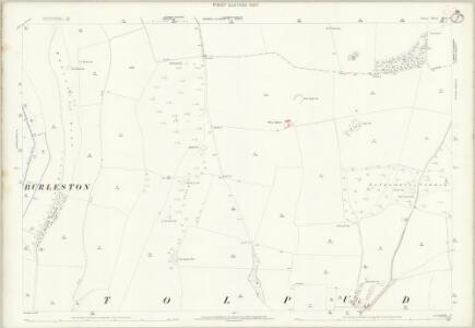 Dorset XLI.3 (includes: Burleston; Dewlish; Milborne; Tolpuddle) - 25 Inch Map