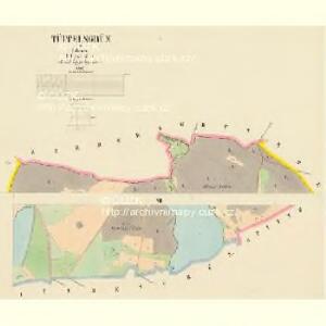 Tüppelsgrün - c1108-1-001 - Kaiserpflichtexemplar der Landkarten des stabilen Katasters