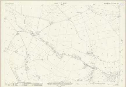 Northumberland (New Series) CVII.8 (includes: Newlands; Shotley Low Quarter) - 25 Inch Map