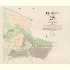 Radkowitz (Radkowicz) - c6356-1-005 - Kaiserpflichtexemplar der Landkarten des stabilen Katasters