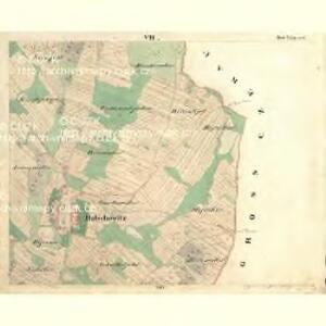 Saborz - c9010-1-007 - Kaiserpflichtexemplar der Landkarten des stabilen Katasters