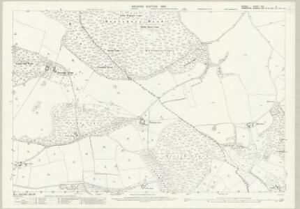 Dorset XVI.3 (includes: Alderholt; Cranborne; Damerham) - 25 Inch Map