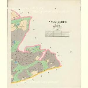 Nassengrub - c4827-3-002 - Kaiserpflichtexemplar der Landkarten des stabilen Katasters