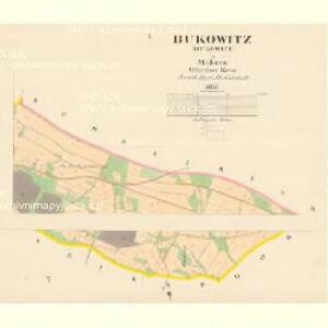 Bukowitz (Bukowicw) - m0298-1-001 - Kaiserpflichtexemplar der Landkarten des stabilen Katasters