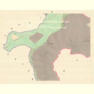 Lupelle (Lupieni) - m1664-1-002 - Kaiserpflichtexemplar der Landkarten des stabilen Katasters