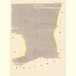 Tillmitschau (Tumaczow) - c7927-1-009 - Kaiserpflichtexemplar der Landkarten des stabilen Katasters