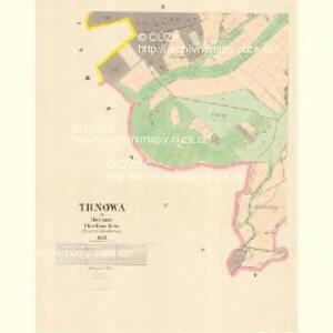 Trnowa - c7978-1-002 - Kaiserpflichtexemplar der Landkarten des stabilen Katasters