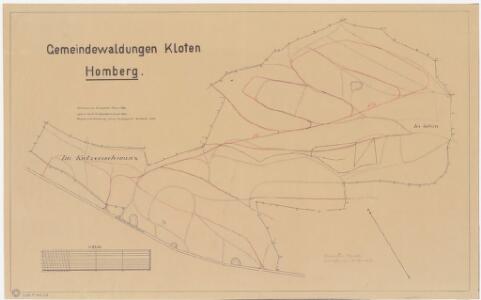 Kloten: Gemeinde- und Genossenschaftswaldungen: Gemeindewaldungen Homberg, Chatzenschwanz (Katzenschwanz), Gstein; Grundriss