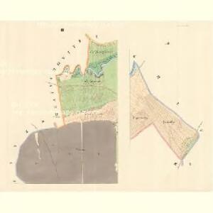 Drslawitz (Drslawice) - m0584-1-003 - Kaiserpflichtexemplar der Landkarten des stabilen Katasters