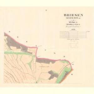 Briesen (Brzezina) - m0254-1-002 - Kaiserpflichtexemplar der Landkarten des stabilen Katasters