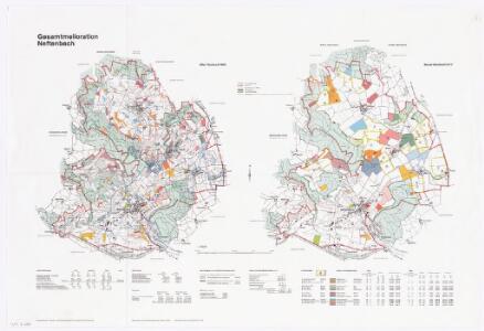 Neftenbach: Gesamtmelioration, alter Bestand 1965 und neuer Bestand 1972; Übersichtsplan