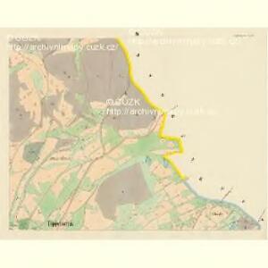 Tüppelsgrün - c1108-1-003 - Kaiserpflichtexemplar der Landkarten des stabilen Katasters