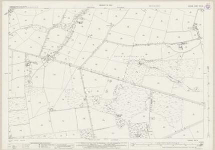 Durham XVIII.6 (includes: Healeyfield; Lanchester) - 25 Inch Map