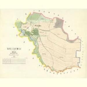 Welleschitz - c8363-1-001 - Kaiserpflichtexemplar der Landkarten des stabilen Katasters