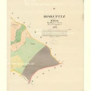 Biskupitz - m0096-1-004 - Kaiserpflichtexemplar der Landkarten des stabilen Katasters