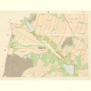 Bohdalin - c0303-1-003 - Kaiserpflichtexemplar der Landkarten des stabilen Katasters