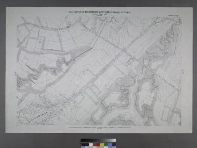 Sheet No. 36. [Includes Chelsea Avenue, Union Avenue, Chelsea Creek, Richmond Turnpike and (Travis) Linoleum Ville.]; Borough of Richmond, Topographical Survey.