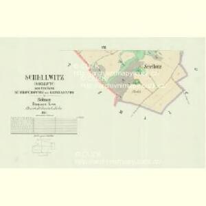 Schellwitz (Ssellwyc) - c8891-1-005 - Kaiserpflichtexemplar der Landkarten des stabilen Katasters