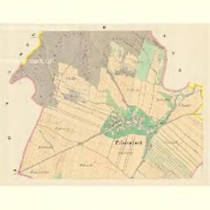 Pissendorf (Prokowa) - m2291-1-002 - Kaiserpflichtexemplar der Landkarten des stabilen Katasters