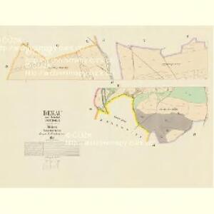 Dekau - c1104-1-003 - Kaiserpflichtexemplar der Landkarten des stabilen Katasters