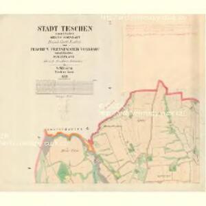 Teschen - m0397-1-001 - Kaiserpflichtexemplar der Landkarten des stabilen Katasters