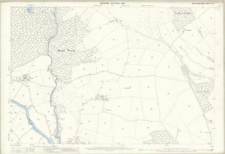 Northumberland (Old Series) XLV.9 (includes: Brinkburn High Ward; Debdon; Raw) - 25 Inch Map