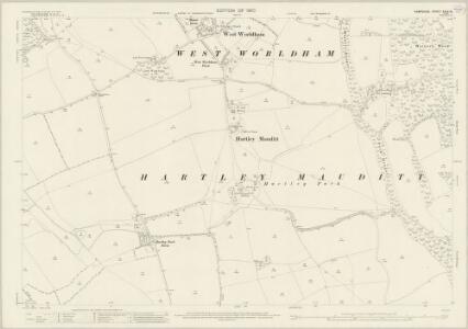 Hampshire and Isle of Wight XXXV.16 (includes: Selborne; Worldham) - 25 Inch Map