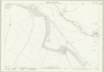Dorset XVI.1 (includes: Cranborne; Wimborne St Giles) - 25 Inch Map