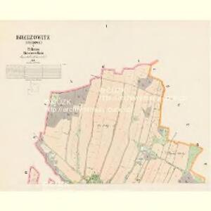 Brzezowitz (Březowic) - c0603-1-001 - Kaiserpflichtexemplar der Landkarten des stabilen Katasters