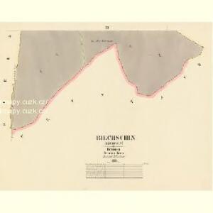 Biechschin (Běchczin) - c0214-1-002 - Kaiserpflichtexemplar der Landkarten des stabilen Katasters