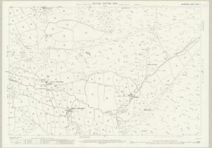 Devon XCVIII.14 (includes: Petertavy) - 25 Inch Map