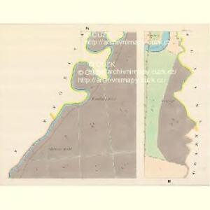 Traubek (Traubky) - m3138-1-003 - Kaiserpflichtexemplar der Landkarten des stabilen Katasters